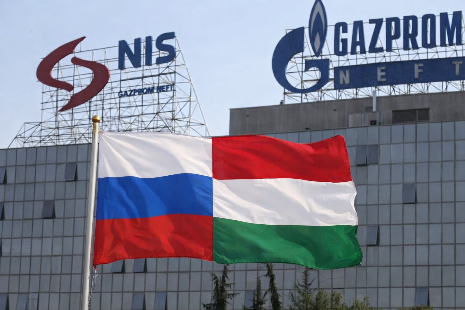 ChatGPT Image 25. дец 2025. 17_18_55