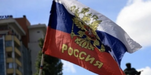 1185973_13028345-1_m