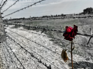 206251_shutterstock-1830825533_f