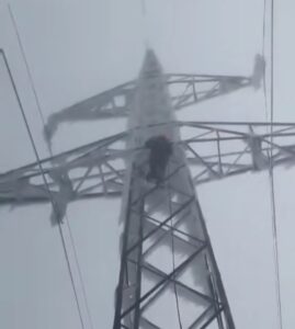 WhatsApp Image 2026-01-10 at 20.29.48