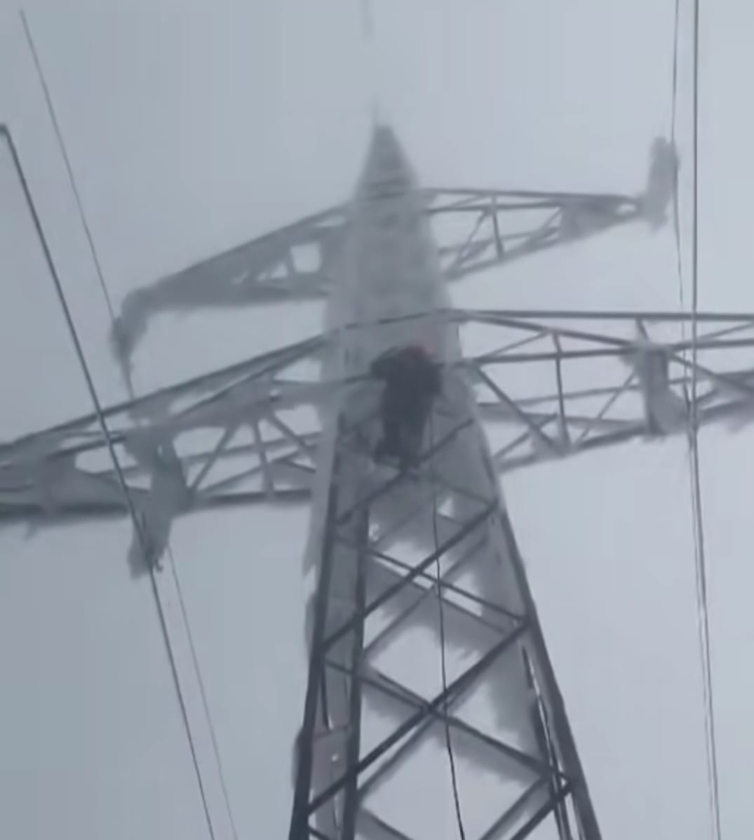 WhatsApp Image 2026-01-10 at 20.29.48